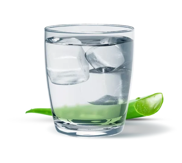Herbalife Aloe Concentrate 500ml - Image 2